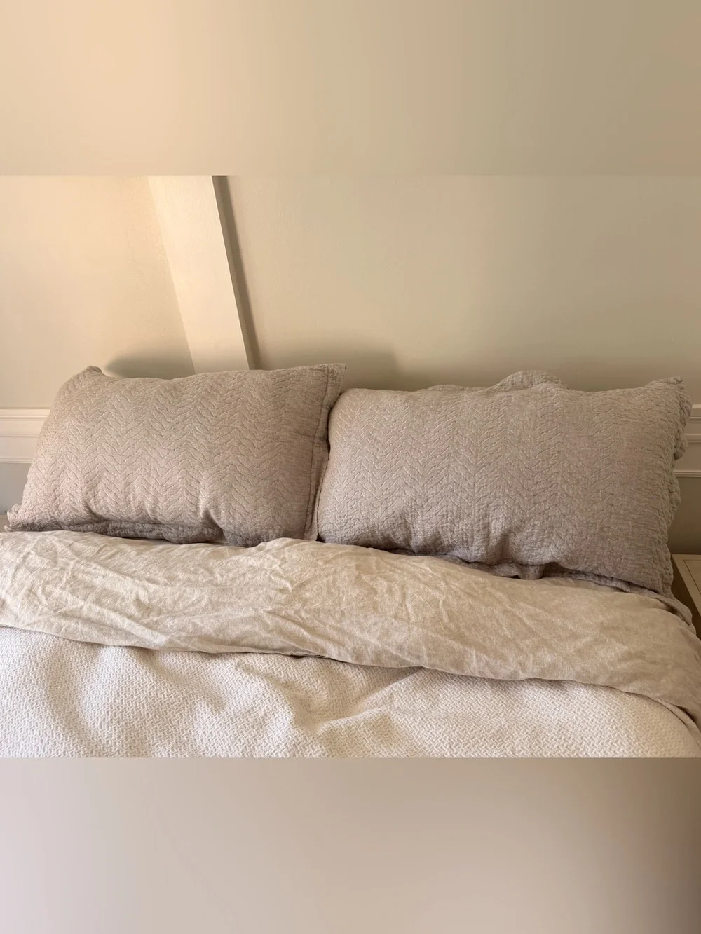 Two Restoration Hardware King Shams